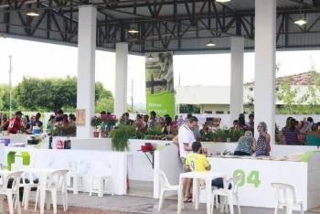 Projeto Plantando, Colhendo e Sustentando