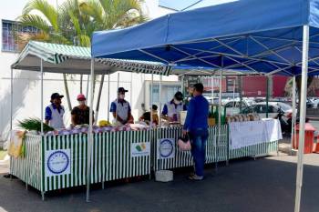 Primacredi homenageia feirantes com a Feira PrimaSabores