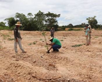 Cooperativas do Ramo Mineral mudam imagem do garimpo