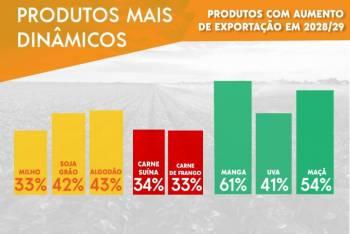 Exportação de grãos irá crescer 40% na próxima década
