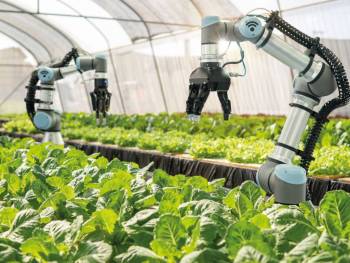 Pensamento crítico será a base do futuro