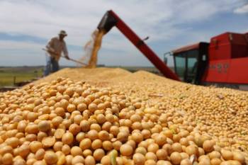 Sicredi tem alta de 51% na contratação de crédito rural