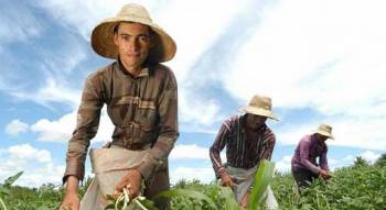 DÉCADA PARA AGRICULTURA FAMILIAR.jpg