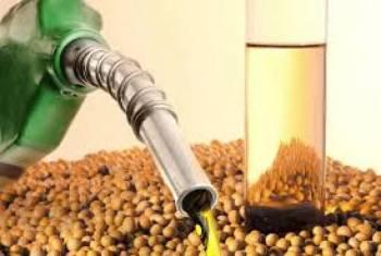 Óleo diesel passa a conter 11% de biodiesel